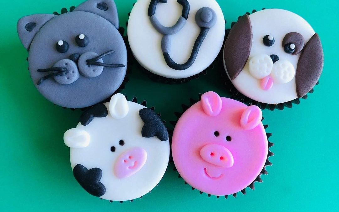 Mini Cupcake Decorado – Bixo 2021 UFRGS – Medicina Veterinária